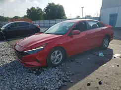 5NPLL4AG6PH104092 2023 HYUNDAI ELANTRA