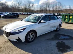 5NPLL4AG8MH036096 2021 HYUNDAI ELANTRA