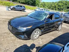 5NPLL4AG8PH100156 2023 HYUNDAI ELANTRA