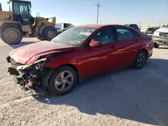 5NPLL4AG8PH117281 2023 HYUNDAI ELANTRA
