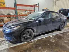 5NPLM4AG0PH100617 2023 HYUNDAI ELANTRA