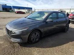 5NPLM4AG0PH104537 2023 HYUNDAI ELANTRA