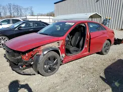 5NPLM4AG0PH117479 2023 HYUNDAI ELANTRA