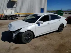 5NPLM4AG1PH090387 2023 HYUNDAI ELANTRA