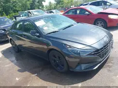 5NPLM4AG1PH094391 2023 HYUNDAI ELANTRA