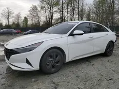 5NPLM4AG1PH113408 2023 HYUNDAI ELANTRA