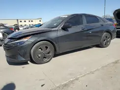 5NPLM4AG2PH103101 2023 HYUNDAI ELANTRA