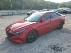 5NPLM4AG2PH117290 2023 HYUNDAI ELANTRA