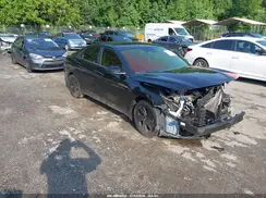5NPLM4AG3PH089256 2023 HYUNDAI ELANTRA