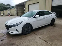 5NPLM4AG3PH101499 2023 HYUNDAI ELANTRA