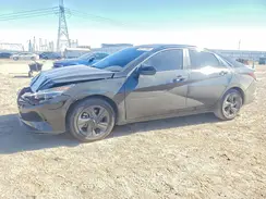 5NPLM4AG3PH103592 2023 HYUNDAI ELANTRA