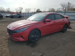 5NPLM4AG3PH103981 2023 HYUNDAI ELANTRA
