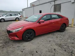 5NPLM4AG3PH116584 2023 HYUNDAI ELANTRA