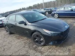 5NPLM4AG4PH092537 2023 HYUNDAI ELANTRA