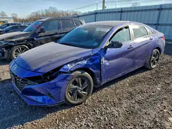5NPLM4AG4PH099066 2023 HYUNDAI ELANTRA