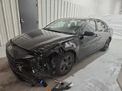 5NPLM4AG4PH100880 2023 HYUNDAI ELANTRA