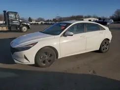 5NPLM4AG4PH103231 2023 HYUNDAI ELANTRA