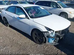 5NPLM4AG4PH104394 2023 HYUNDAI ELANTRA