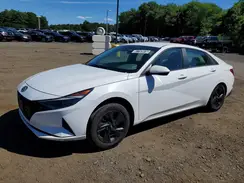 5NPLM4AG4PH104900 2023 HYUNDAI ELANTRA