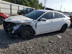 5NPLM4AG4PH110244 2023 HYUNDAI ELANTRA