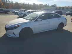 5NPLM4AG5PH095205 2023 HYUNDAI ELANTRA