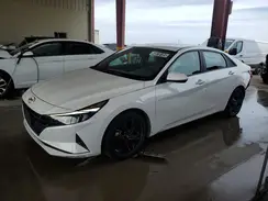5NPLM4AG5PH100595 2023 HYUNDAI ELANTRA