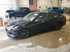 5NPLM4AG5PH117204 2023 HYUNDAI ELANTRA