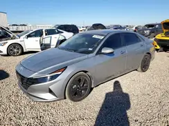 5NPLM4AG5PH119065 2023 HYUNDAI ELANTRA