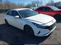 5NPLM4AG6PH091857 2023 HYUNDAI ELANTRA