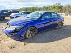 5NPLM4AG6PH102159 2023 HYUNDAI ELANTRA