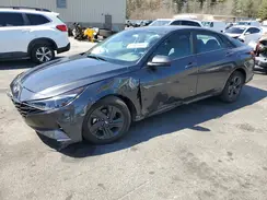 5NPLM4AG7PH094041 2023 HYUNDAI ELANTRA