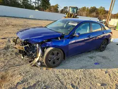5NPLM4AG8PH087504 2023 HYUNDAI ELANTRA