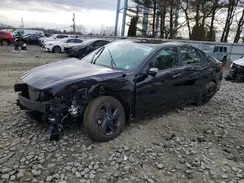 5NPLM4AG8PH088068 2023 HYUNDAI ELANTRA