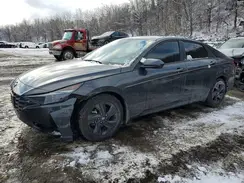 5NPLM4AG8PH094145 2023 HYUNDAI ELANTRA