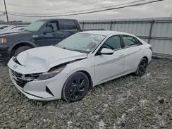 5NPLM4AG8PH094453 2023 HYUNDAI ELANTRA