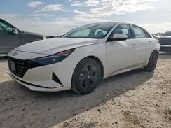 5NPLM4AG8PH105306 2023 HYUNDAI ELANTRA