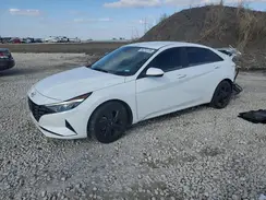 5NPLM4AG8PH106147 2023 HYUNDAI ELANTRA