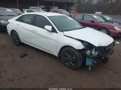 5NPLM4AG8PH112403 2023 HYUNDAI ELANTRA