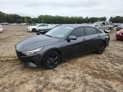 5NPLM4AG8PH118170 2023 HYUNDAI ELANTRA