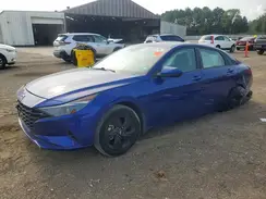 5NPLM4AG8PH118430 2023 HYUNDAI ELANTRA