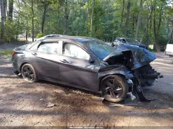 5NPLM4AG9MH041188 2021 HYUNDAI ELANTRA