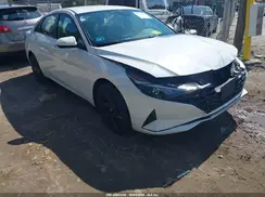 5NPLM4AG9PH088001 2023 HYUNDAI ELANTRA