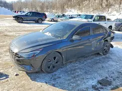5NPLM4AG9PH094333 2023 HYUNDAI ELANTRA