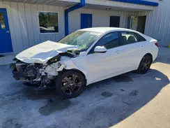 5NPLM4AG9PH095448 2023 HYUNDAI ELANTRA