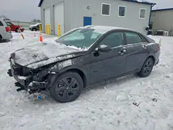 5NPLM4AG9PH099564 2023 HYUNDAI ELANTRA
