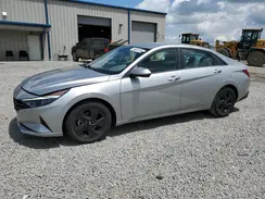 5NPLM4AG9PH101636 2023 HYUNDAI ELANTRA