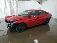 5NPLM4AGXPH103704 2023 HYUNDAI ELANTRA