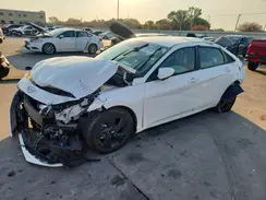 5NPLM4AGXPH113908 2023 HYUNDAI ELANTRA