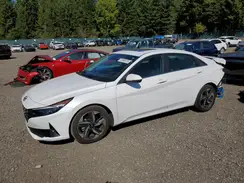 5NPLP4AG8PH093617 2023 HYUNDAI ELANTRA