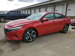 5NPLS4AG1PH099547 2023 HYUNDAI ELANTRA